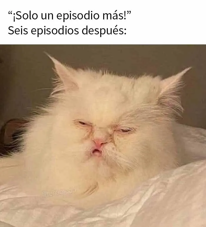 20 Acertados memes para los usuarios de Netflix, compartidos en esta página de Facebook