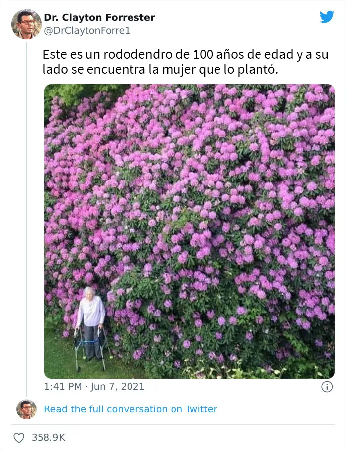 20 Mujeres celebrando sus victorias, grandes o pequeñas, icónicas o irónicas, compartiéndolas en esta página (Nuevas fotos)