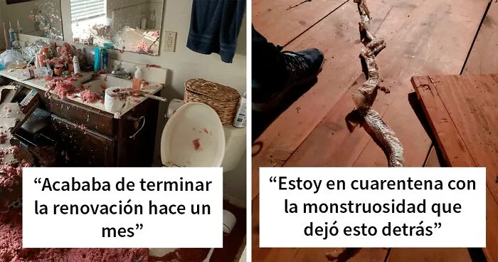 30 Cosas realmente desafortunadas ocurridas en las casas de la gente (nuevas fotos)