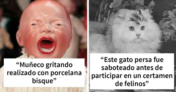 “El museo de cosas ridículamente interesantes”: los 20 objetos más extraños compartidos en esta página de Facebook