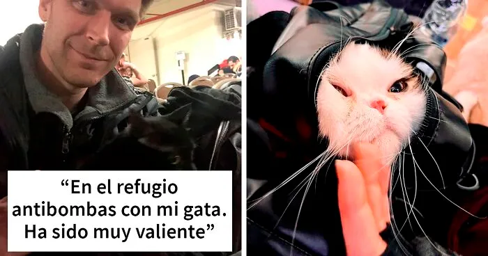 35 Fotos de ucranianos con sus mascotas durante la guerra mostrando lo fuerte que puede ser el amor entre humanos y sus mascotas