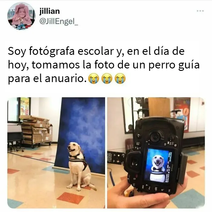 “El movimiento de las buenas noticias”: 20 Historias muy reconfortantes de esta cuenta de Instagram