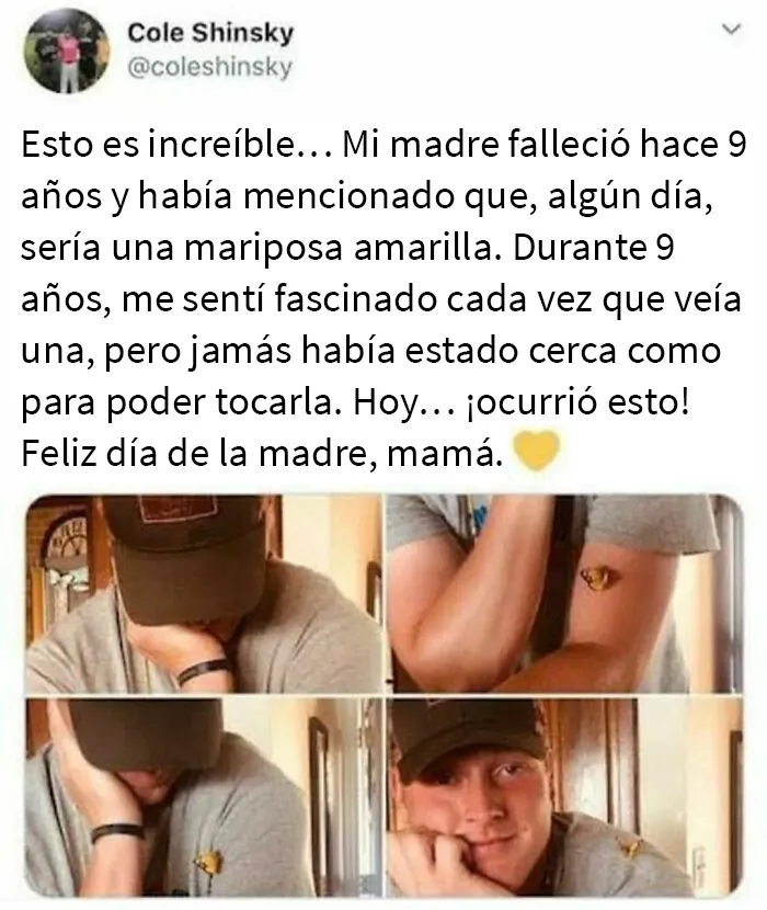 “El movimiento de las buenas noticias”: 20 Historias muy reconfortantes de esta cuenta de Instagram