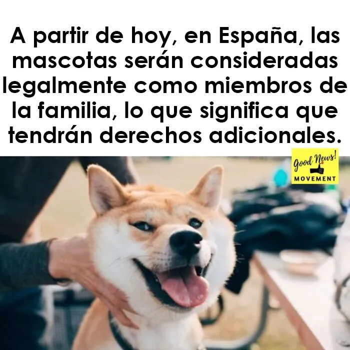 “El movimiento de las buenas noticias”: 20 Historias muy reconfortantes de esta cuenta de Instagram