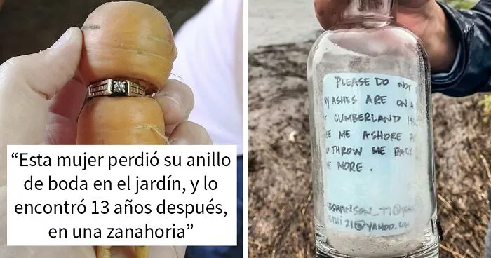 30 Personas que encontraron cosas tan inesperadas, que tuvieron que compartirlas