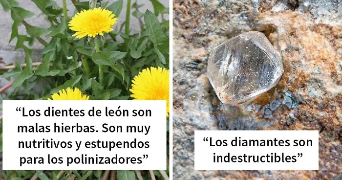 25 Ideas aparentemente normales pero que en realidad son propaganda creada por las empresas