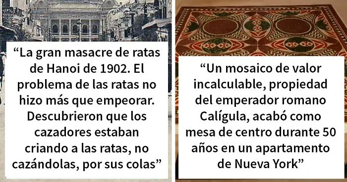 'Hoy aprendí': 30 nuevos datos que demuestran que nunca es tarde para aprender algo nuevo