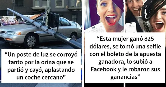 "Hoy aprendí": 25 nuevos datos que demuestran que nunca es demasiado tarde para aprender algo nuevo