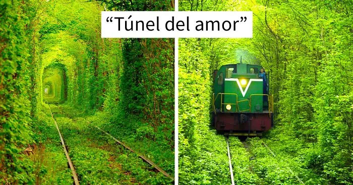 35 Fotos preciosas de Ucrania que rompe el corazón ver ahora