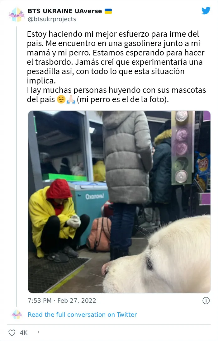 35 Fotos de ucranianos con sus mascotas durante la guerra mostrando lo fuerte que puede ser el amor entre humanos y sus mascotas