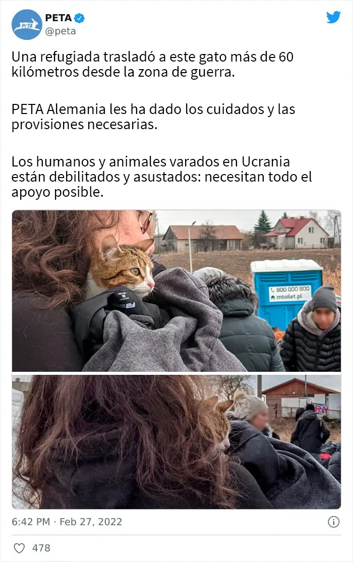 35 Fotos de ucranianos con sus mascotas durante la guerra mostrando lo fuerte que puede ser el amor entre humanos y sus mascotas