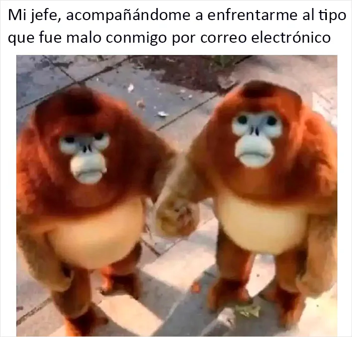 20 Memes de esta cuenta de Instagram que se burla de la monotonía del trabajo de oficina