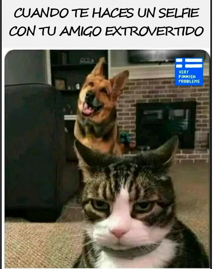 200000 Personas adoran esta divertida página de instagram que comparte «problemas fineses» (20 nuevas fotos)