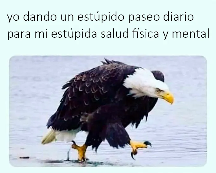 20 Memes que quizá deberían discutirse con un terapeuta, compartidos en esta cuenta de Instagram