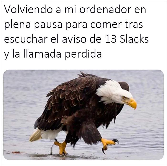 20 Memes de esta cuenta de Instagram que se burla de la monotonía del trabajo de oficina