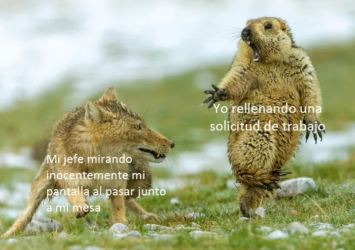 20 Memes de esta cuenta de Instagram que se burla de la monotonía del trabajo de oficina