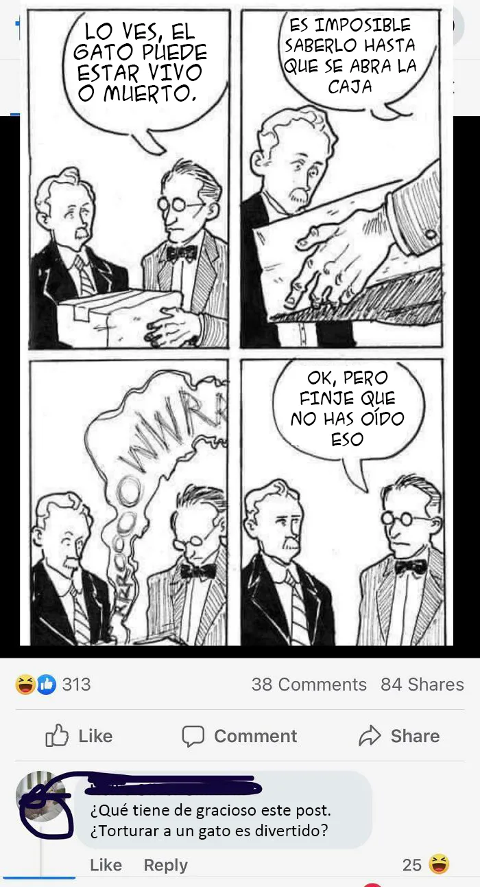 Defendiendo al gato de Schrödinger