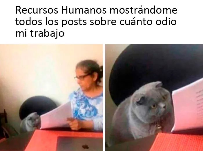 20 Memes dolorosamente divertidos para esos días en los que no puedes reír