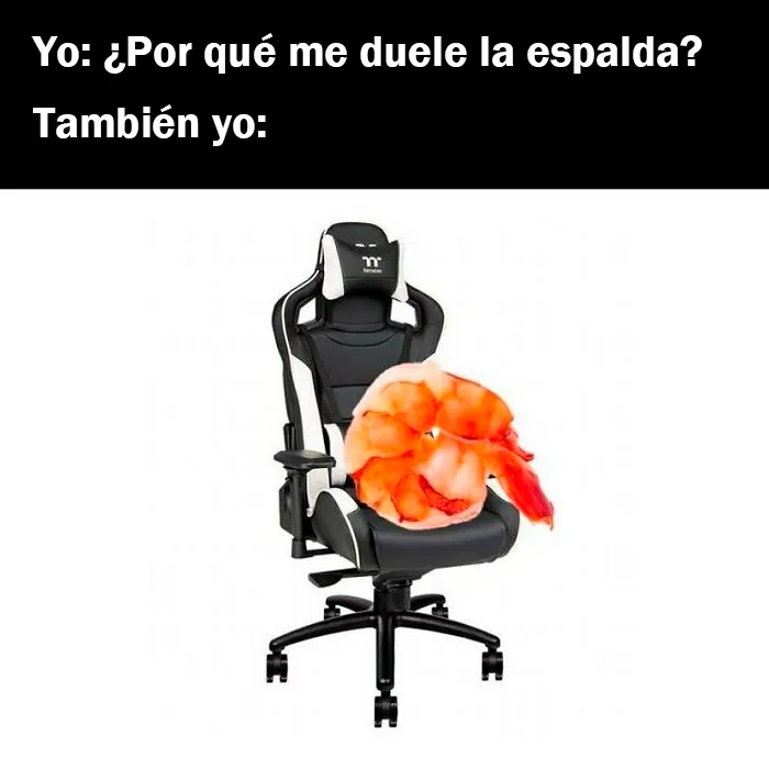 20 Memes dolorosamente divertidos para esos días en los que no puedes reír
