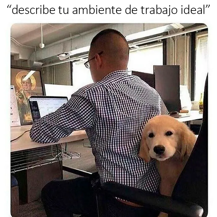 20 Memes dolorosamente divertidos para esos días en los que no puedes reír
