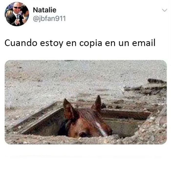 20 Memes sobre el trabajo que te harán reír y luego llorar