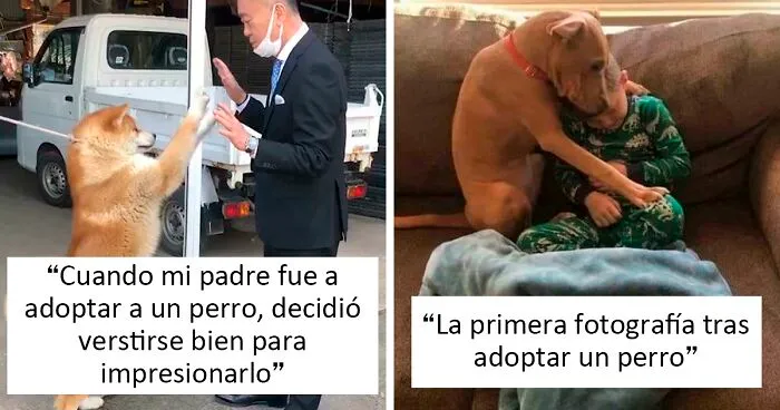 40 Fotos de mascotas rescatadas este mes de marzo que te harán feliz