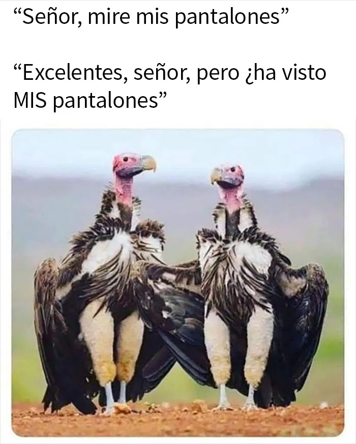 20 Memes sobre la naturaleza y el medio ambiente, compartidos en esta página de Facebook