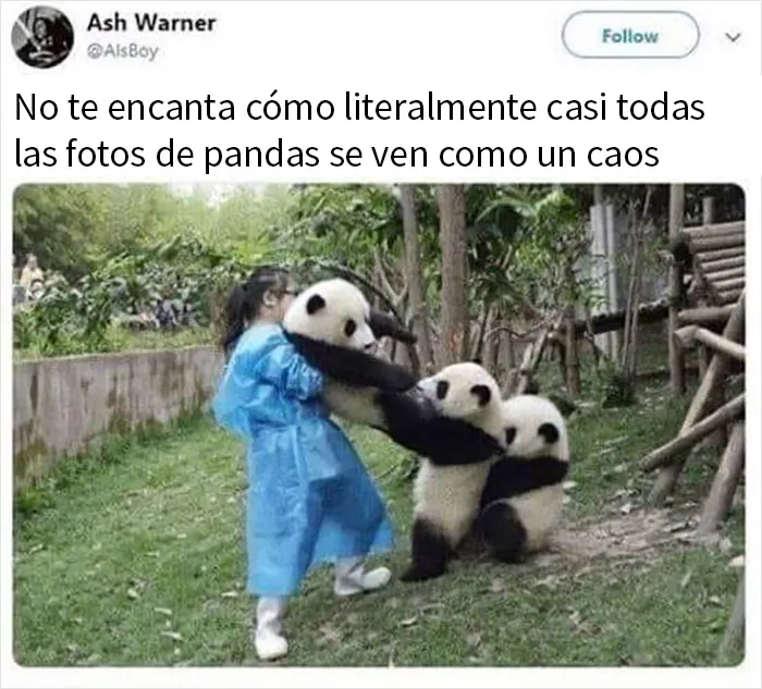 20 Memes sobre la naturaleza y el medio ambiente, compartidos en esta página de Facebook
