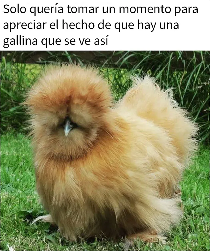 20 Memes sobre la naturaleza y el medio ambiente, compartidos en esta página de Facebook