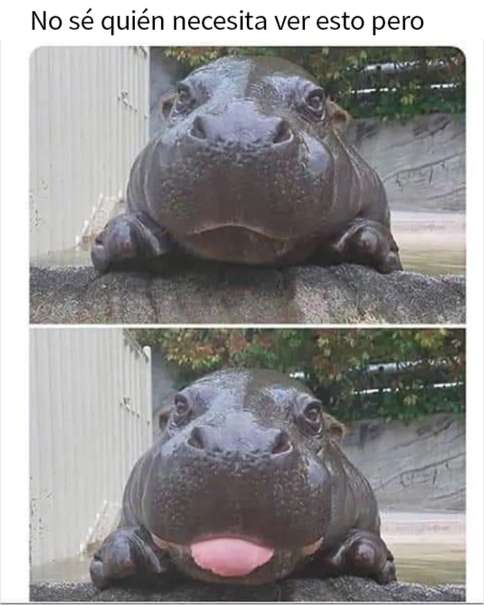 20 Memes sobre la naturaleza y el medio ambiente, compartidos en esta página de Facebook
