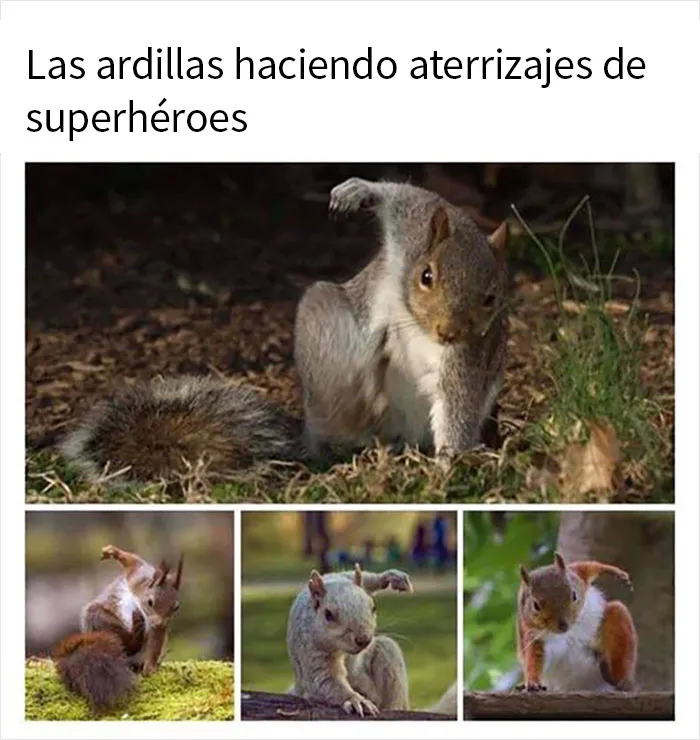20 Memes sobre la naturaleza y el medio ambiente, compartidos en esta página de Facebook