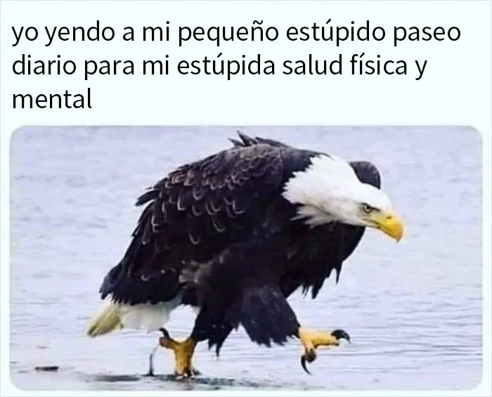 20 Memes sobre la naturaleza y el medio ambiente, compartidos en esta página de Facebook