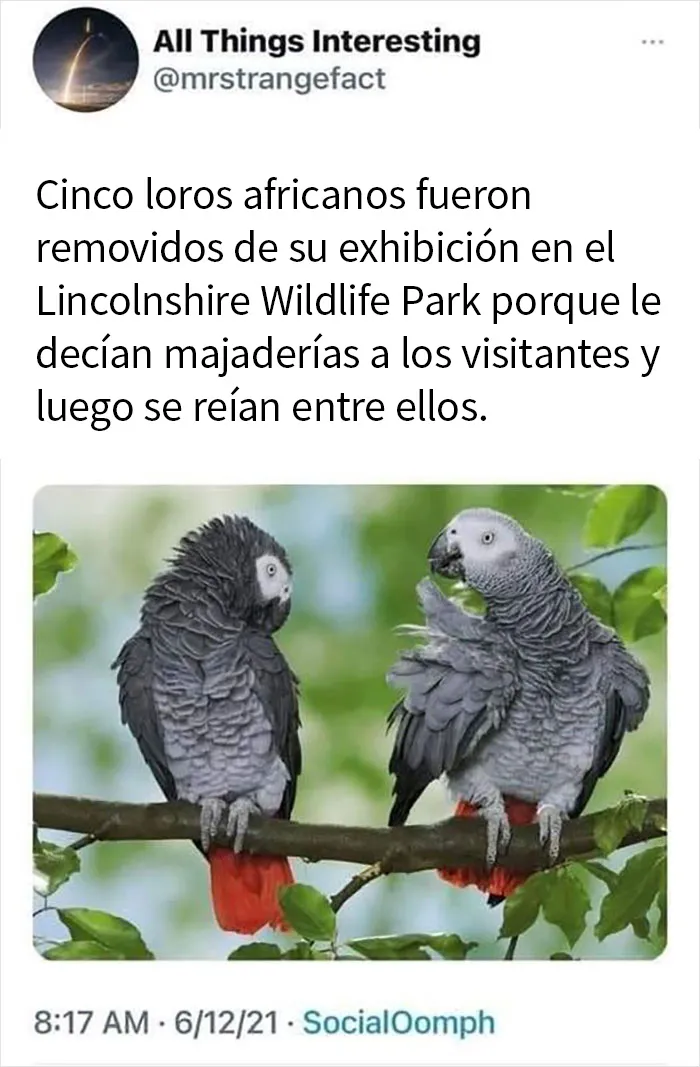 20 Memes sobre la naturaleza y el medio ambiente, compartidos en esta página de Facebook