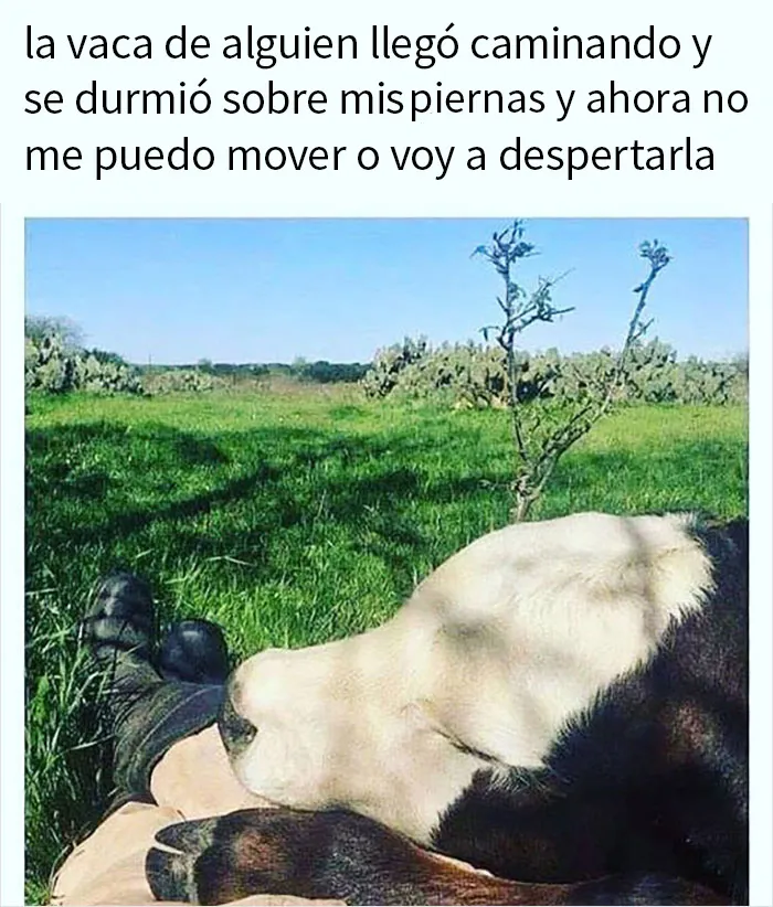 20 Memes sobre la naturaleza y el medio ambiente, compartidos en esta página de Facebook