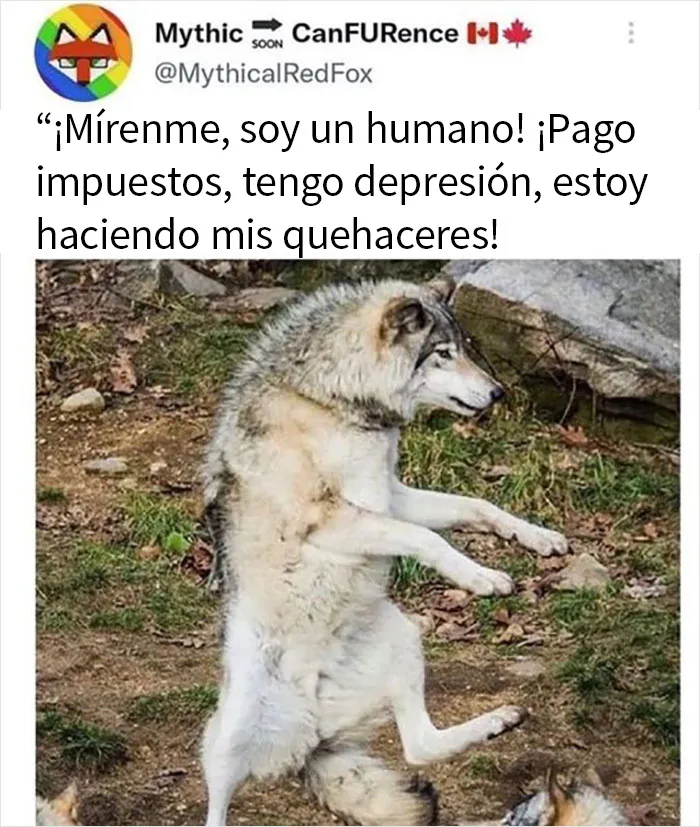 20 Memes sobre la naturaleza y el medio ambiente, compartidos en esta página de Facebook