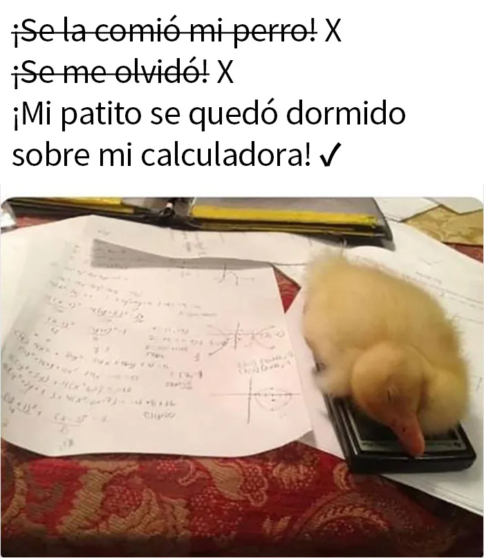 20 Memes sobre la naturaleza y el medio ambiente, compartidos en esta página de Facebook