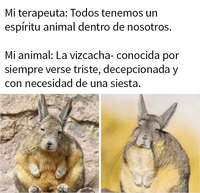 20 Memes sobre la naturaleza y el medio ambiente, compartidos en esta página de Facebook