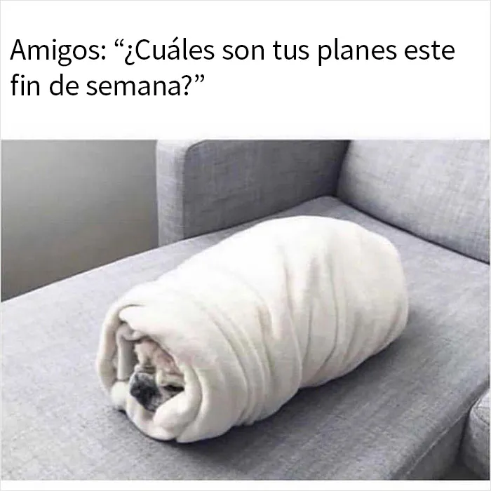 20 Memes para quienes están cansados y agobiados con la vida