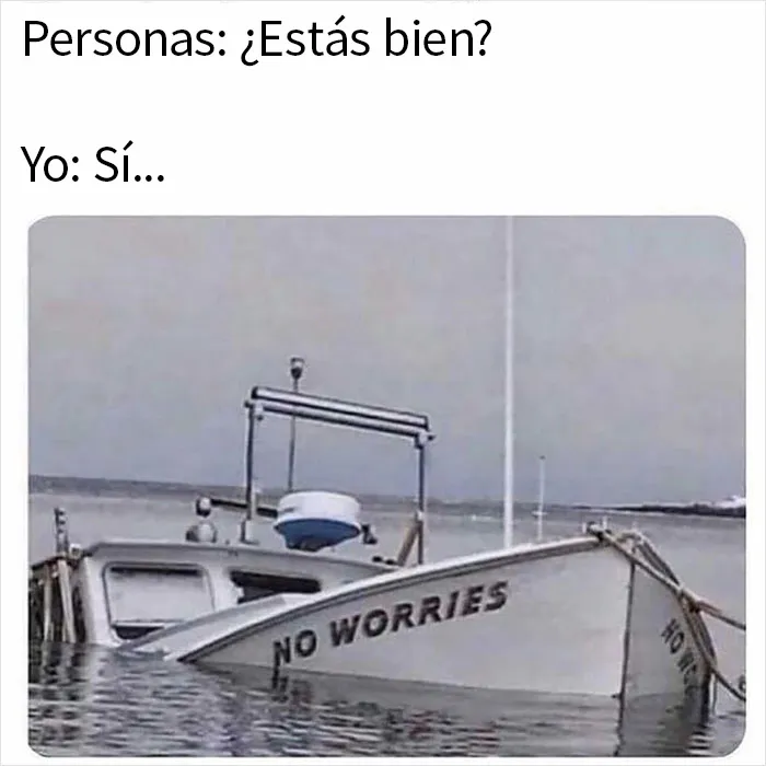 20 Memes para quienes están cansados y agobiados con la vida