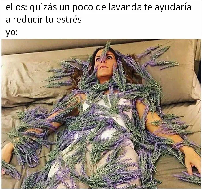20 Memes para quienes están cansados y agobiados con la vida
