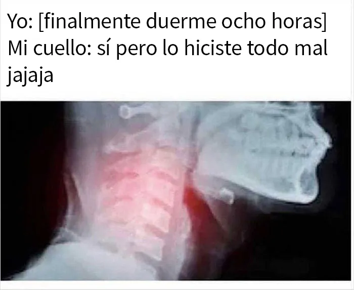 20 Memes para quienes están cansados y agobiados con la vida