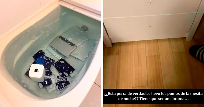 20 Venganzas mezquinas para aprender a no comportarse como idiotas con los demás