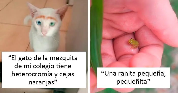 20 Nuevas imágenes bastante interesantes de esta cuenta de Twitter