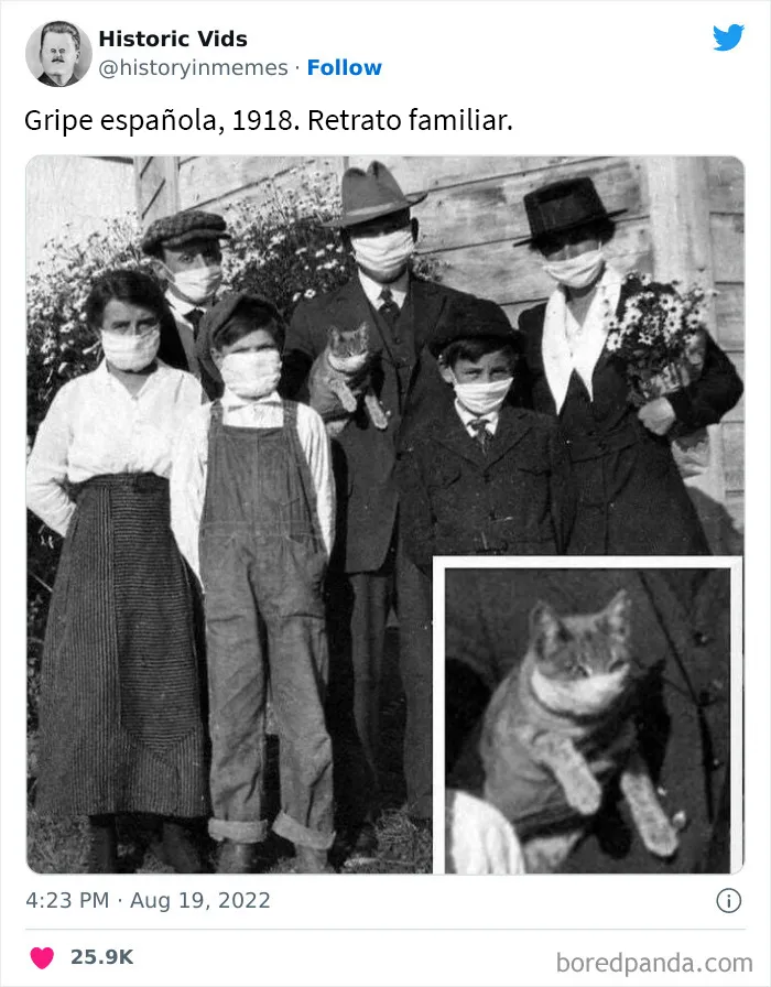 20 Imágenes incómodas y cautivadoras a la vez de esta cuenta de Twitter que solo publica cosas espeluznantes