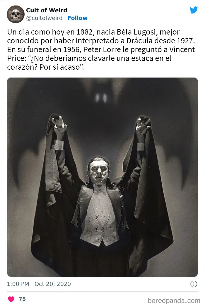 20 Imágenes incómodas y cautivadoras a la vez de esta cuenta de Twitter que solo publica cosas espeluznantes