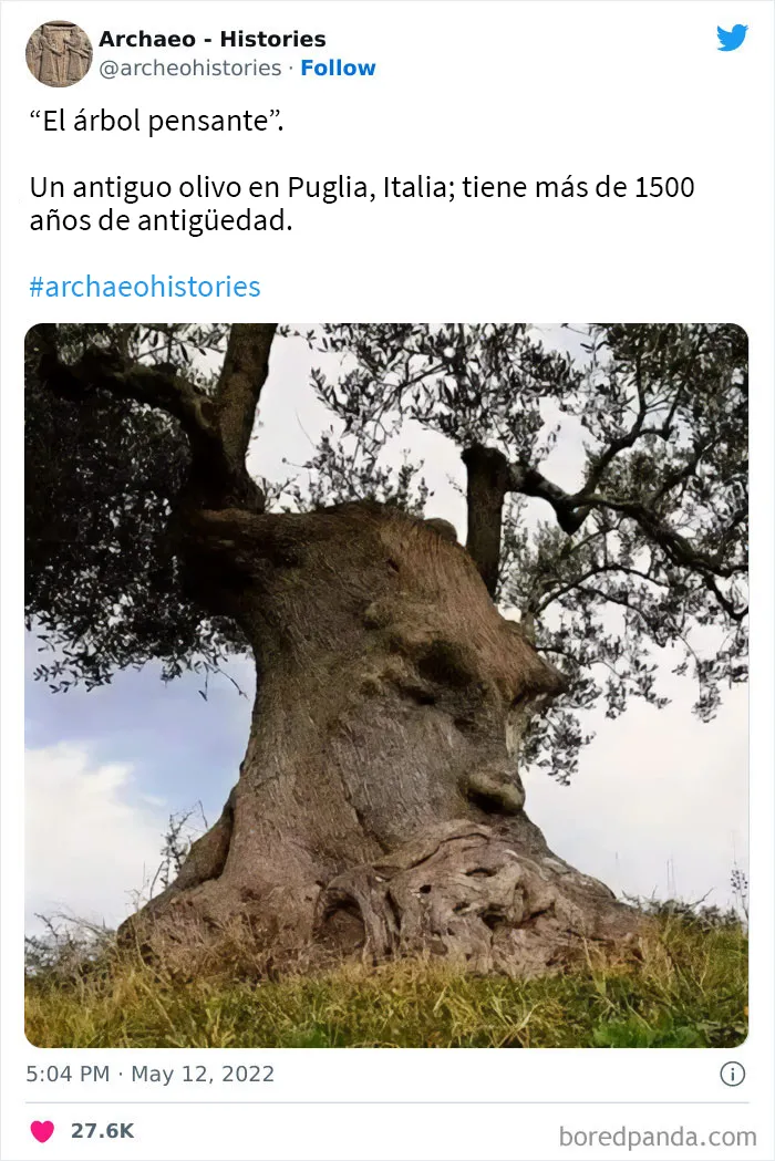 20 Imágenes incómodas y cautivadoras a la vez de esta cuenta de Twitter que solo publica cosas espeluznantes