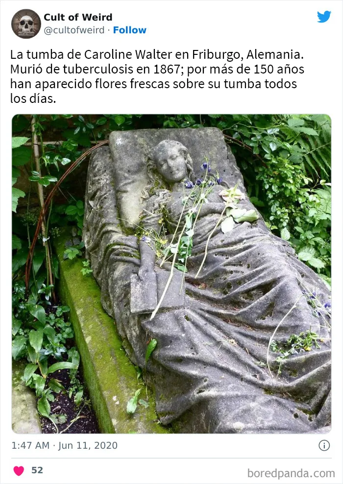 20 Imágenes incómodas y cautivadoras a la vez de esta cuenta de Twitter que solo publica cosas espeluznantes