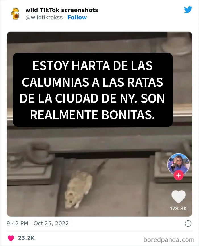 20 Publicaciones desquiciantes en TikTok que dan vergüenza ajena (nuevas fotos)