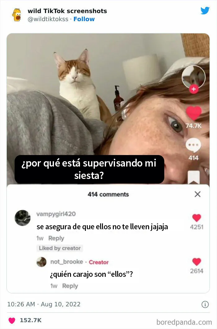 20 Publicaciones desquiciantes en TikTok que dan vergüenza ajena (nuevas fotos)