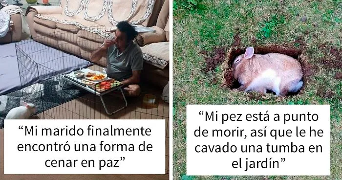 40 Divertidos conejos que no son tan dulces e inocentes como aparentan